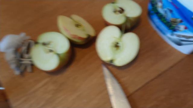 JILGUERO SE BAÑA Y COME EN LA MANO смотреть онлайн