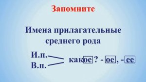 Тема 13. Склонение имён прилагательных среднего рода в форме единственного числа