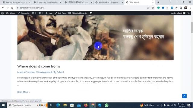 How to Add Blog Posts to Pages in WordPress in Bangla смотреть онлайн