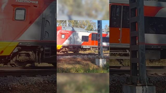 Приветливая Ласточка #shorts смотреть онлайн