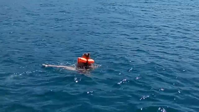 Кабардинка 13.07.18 купание в море. смотреть онлайн