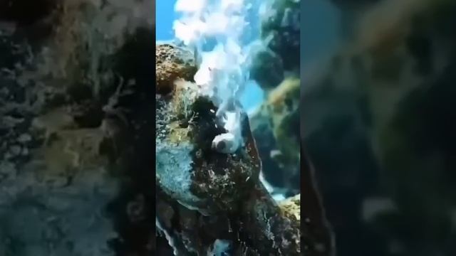 Подводный музей скульптур в Канкуне. смотреть онлайн