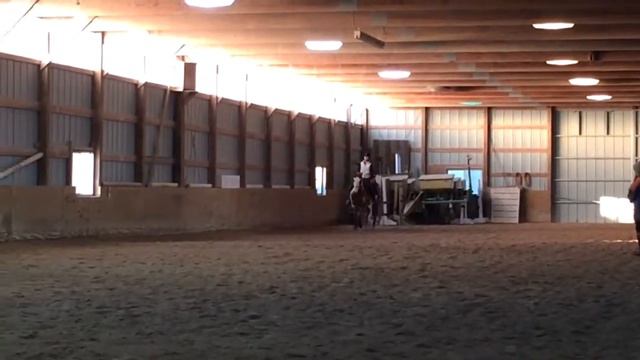 11.24.2015 // Wendy Sanders Dressage Lesson (4) смотреть онлайн