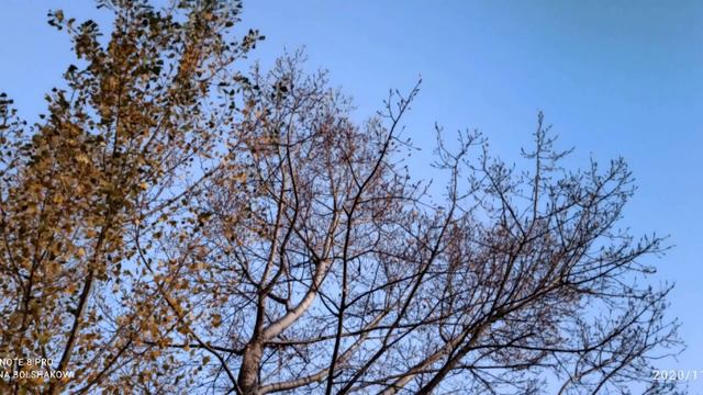 Облака.Авторская песня. смотреть онлайн