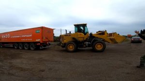 Вытягиваю тягачи Volvo 420. Загрузка рапса на прицепы Сеспель!