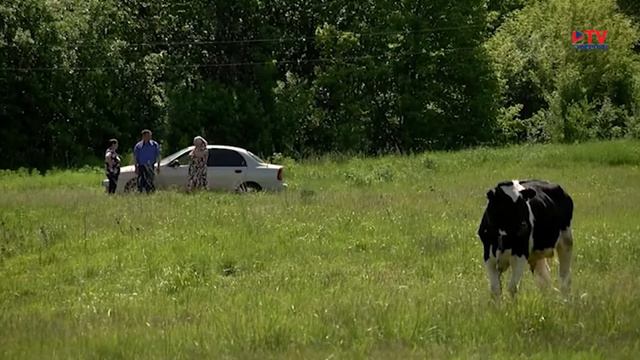 Окрестности. Петропавловский район. хутор Гондарев смотреть онлайн