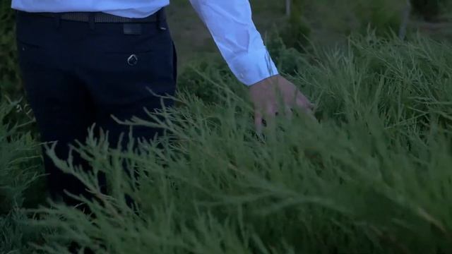 Никах татарстан. Разиль и Рафия. Мусульманская свадьба. wedding. смотреть онлайн