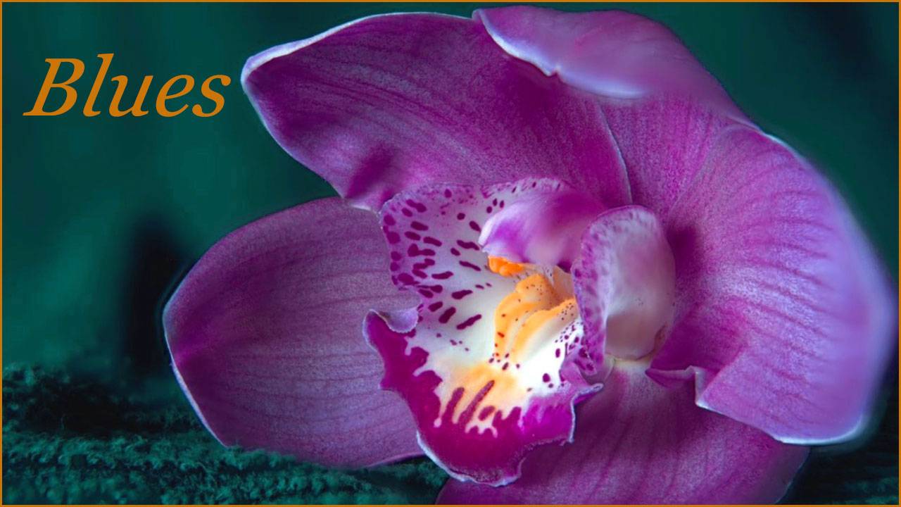 Абстрактный блюз 455. & Abstract blues. смотреть онлайн