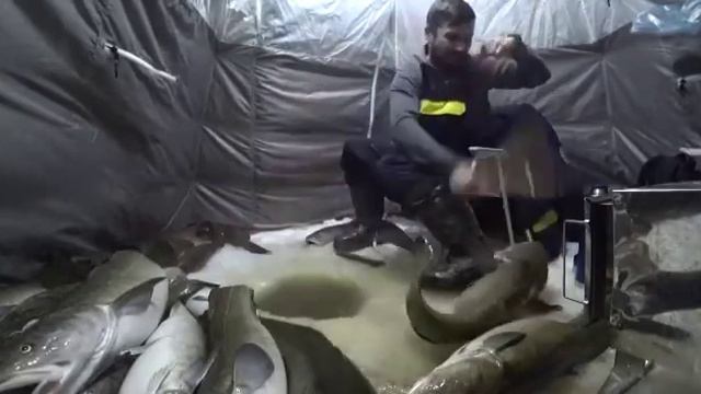 #шок#монстры#зимняя рыбалка 🎣 смотреть онлайн