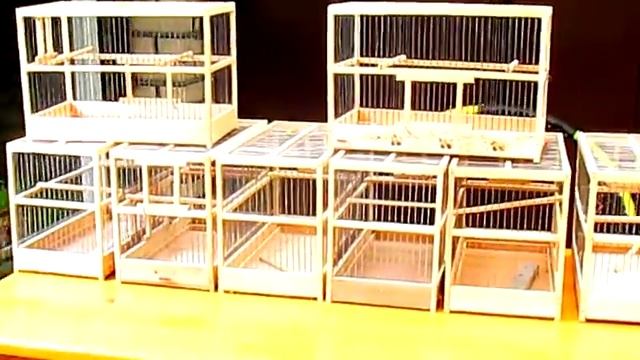 #Клетки для попугаев. Приобретение новых клеток для птиц смотреть онлайн