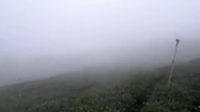 Как чай встречается с облаками. ШаньЛинСи. Формоза-Чай смотреть онлайн