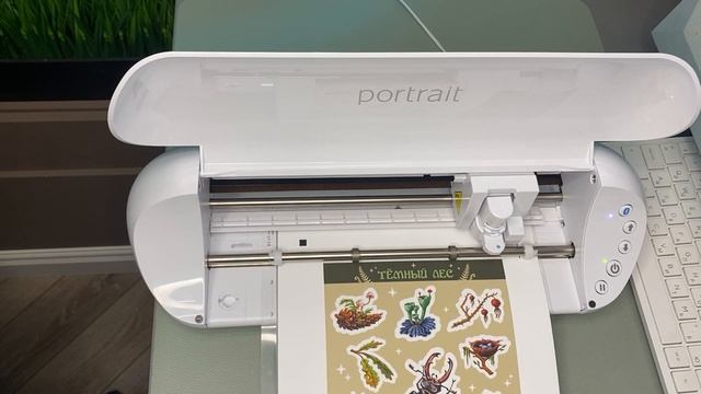 Открыла Онлайн Магазин Стикеров ✹ Первые Проблемы | ВЛОГ смотреть онлайн