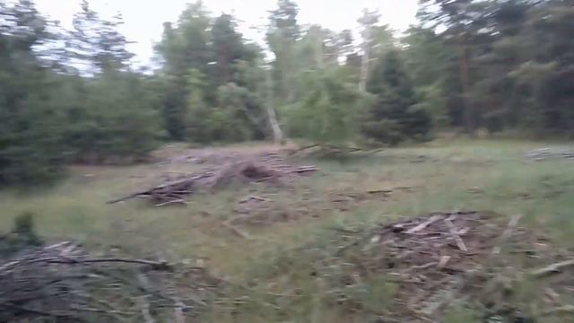 Коп возле болот Есть находки Коп с Эквинокс800 ролик 20