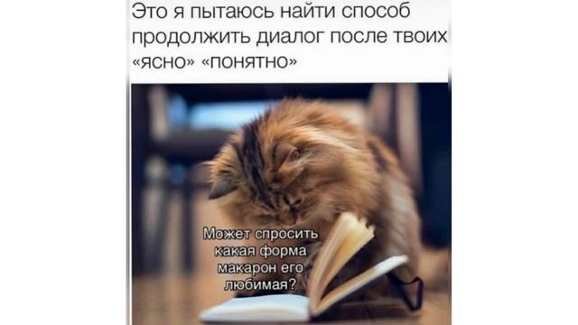 ОНО ТАК И БЫЛО!!!))) Приколы с котами | Мемозг 897 смотреть онлайн