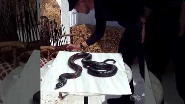 Художник нарисовал как настаяший смотреть онлайн