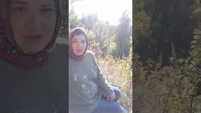 Далеко-далеко журавли улетели... смотреть онлайн