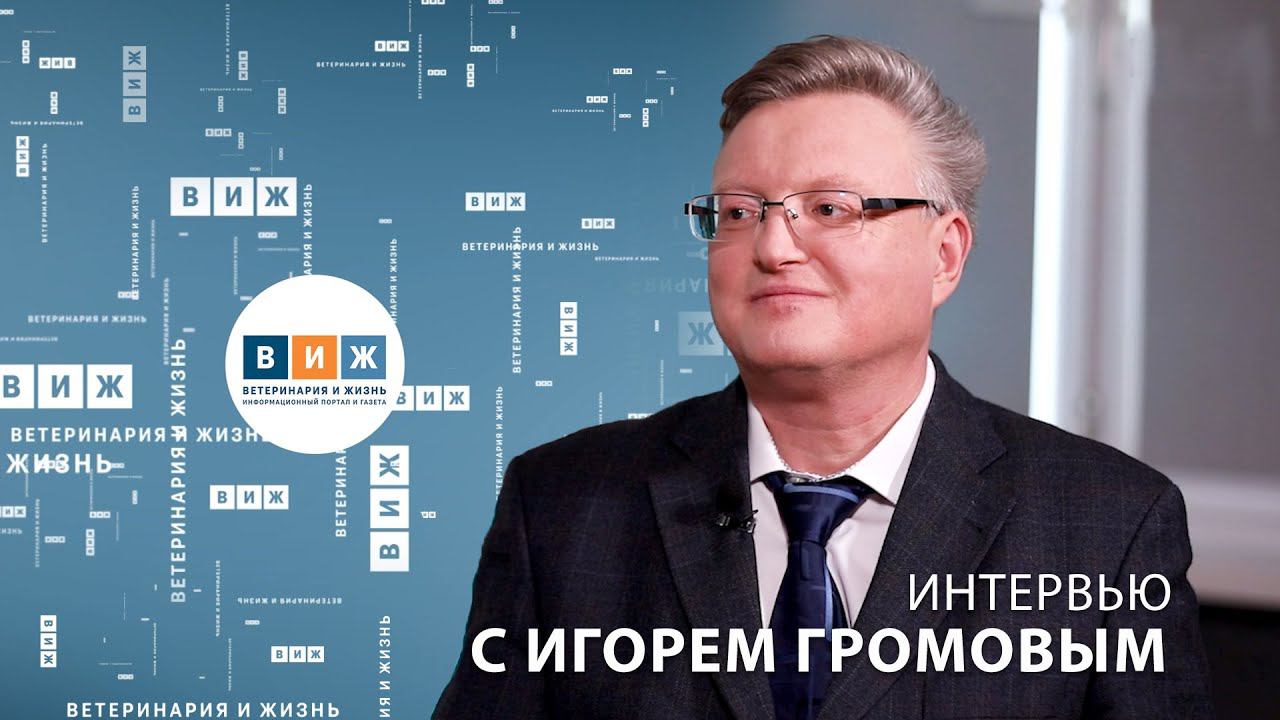Интервью с Игорем Громовым смотреть онлайн