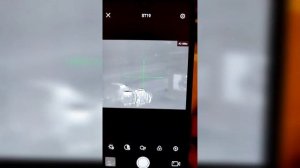 тепловизионный прицел Аркон альфа st19.брать или не брать? бюджетный теплоприцел.какой прицел взять