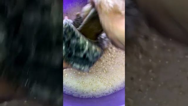 Размокшее дегтярное мыло Аист? смотреть онлайн