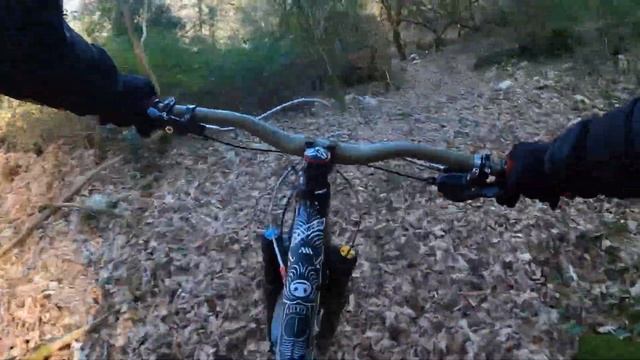 Mtb Enduro (cori freeride) la bella signora смотреть онлайн