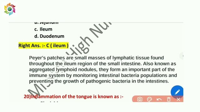 Digestive System 2 Question Answer with Image Nursing Officer,GIT Most Important MCQ For staff Nurs смотреть онлайн