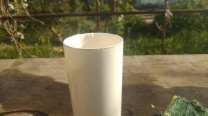 Как очистить кружку от налета?! Эксперимент! Это средство очистит любую грязь