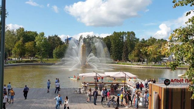 20190825 Ботанический сад 2019 смотреть онлайн