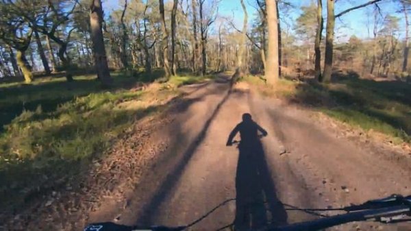 Radon Swoop Hybrid 9.0 Review