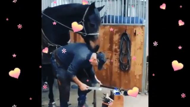 ЖЕРЕБЕНОК Александр Розенбаум смотреть онлайн