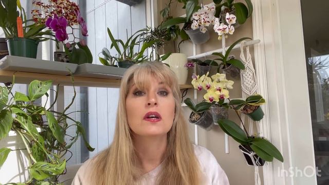 Caring for Phalenopsis Orchids, all about Moth Orchids, how to get orchids to flower смотреть онлайн