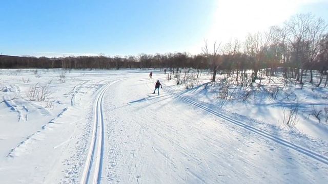 Лыжная прогулка смотреть онлайн
