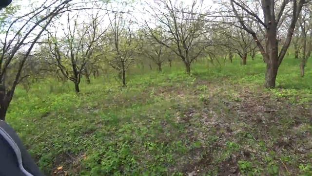 ОТЛИЧНО ПОРАБОТАЛ/ВЫРЕЗАЮ СУШНЯК В САДУ/ВЫКАШИВАЮ БУРЬЯН/ЖИЗНЬ В ДЕРЕВНЕ/ смотреть онлайн