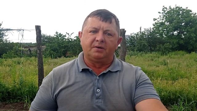 Клубника Сопрано (Soprano): хороша ли новинка на нашем участке? смотреть онлайн