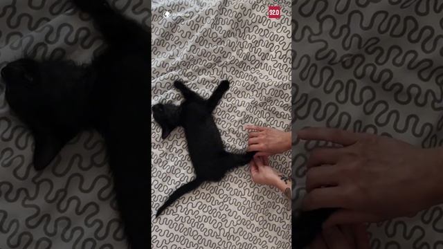 #Shorts Гибкий какой - Москва FM смотреть онлайн