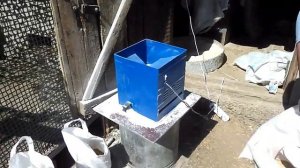 Комбикорм для свиней своими руками.