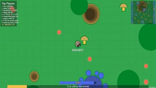САМАЯ МИЛАЯ IO ИГРА? (Mope.io) смотреть онлайн