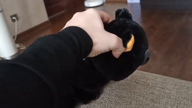Не зли кота! смотреть онлайн
