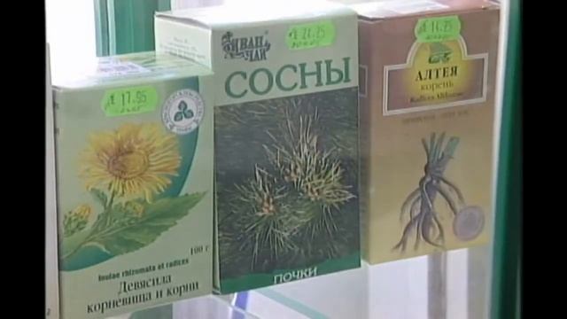 【상락수, 메디tv 공동제작】 차가버섯 먹는법, 가정에서 활용하는 방법은?