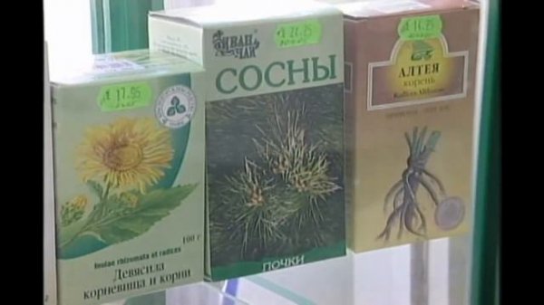 【상락수, 메디tv 공동제작】 차가버섯 먹는법, 가정에서 활용하는 방법은?