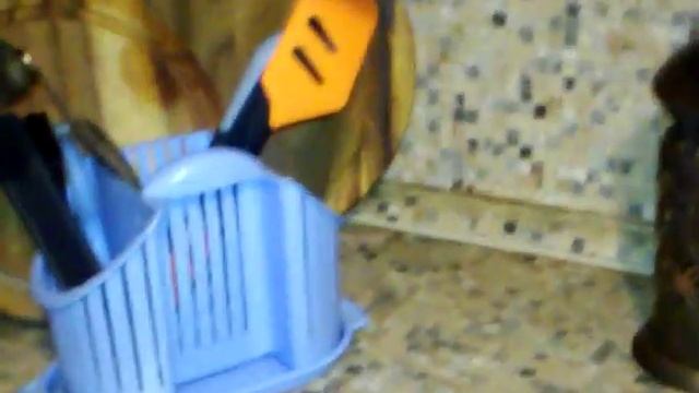 Крысы залезли в квартиру! Что делать!??!?! смотреть онлайн