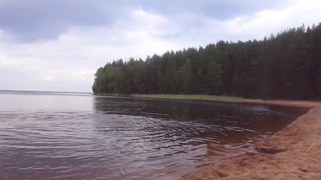 Заплыв Павлика брассом смотреть онлайн