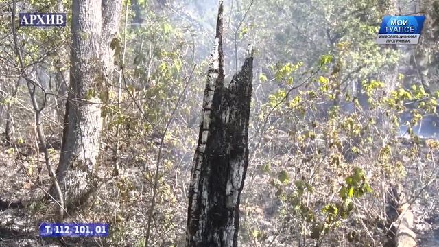 В Туапсинском районе установлен 4 класс пожароопасности смотреть онлайн