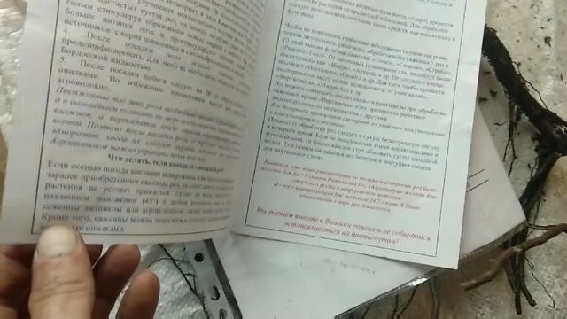 Пришла посылка из питомника роз "АЛЕКСАНДРА"? смотреть онлайн