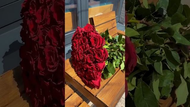 Розы смотреть онлайн