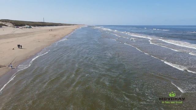 Как голландцы реагируют на правильный чай. Мойчай Амстердам смотреть онлайн