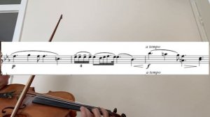 Chopin Nocturne Op.9 No2 tutorial/sheet music/close up/accompaniment/performance tempo