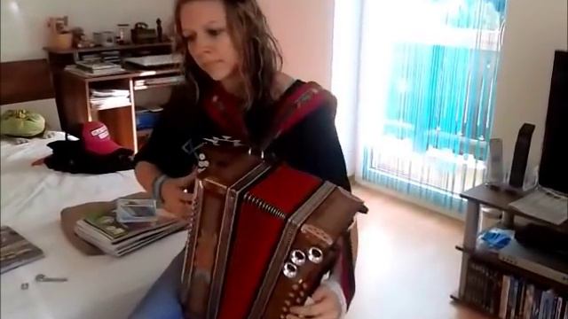 Mario Boarischer - Steirische Harmonika смотреть онлайн