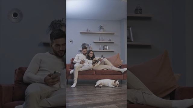 Пылевой клещ дома //Профилактика от клеща смотреть онлайн