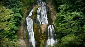 Beautiful forest waterfall (10 hours) Water Sounds (Nature white noise)