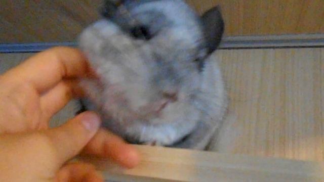 КЛИП Спят усталые игрушки смотреть онлайн
